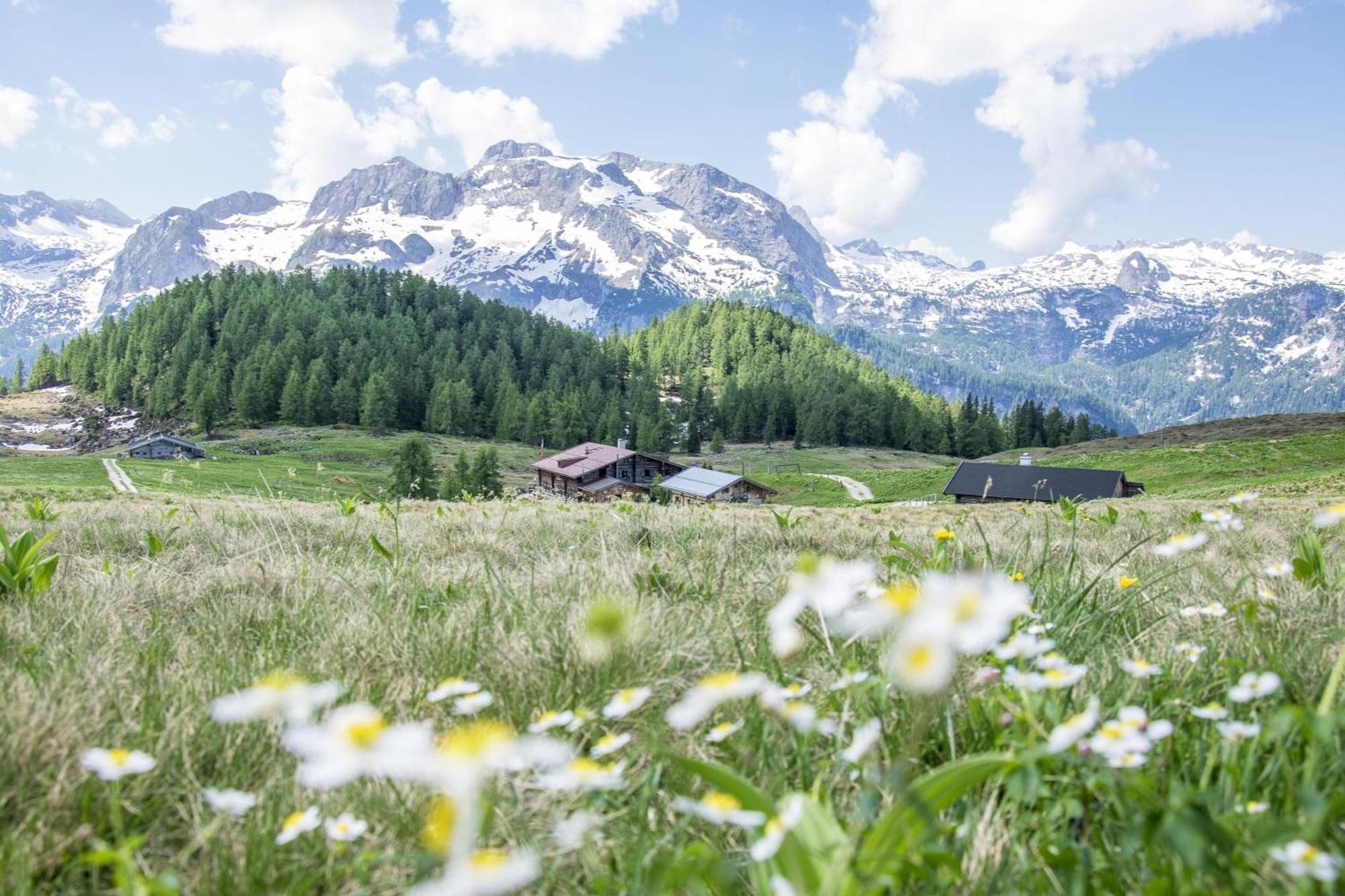 Villa Marga Ferienwohnung Steinernes Meer Schönau am Königssee エクステリア 写真